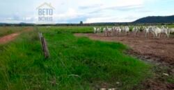 Fazenda Completa 87.851 ha e aproximadamente 50.000 cabeças gado | Corumbá – MS