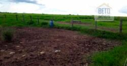 Fazenda Completa 87.851 ha e aproximadamente 50.000 cabeças gado | Corumbá – MS