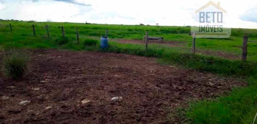 Fazenda Completa 87.851 ha e aproximadamente 50.000 cabeças gado | Corumbá – MS