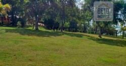 Fazenda Completa 87.851 ha e aproximadamente 50.000 cabeças gado | Corumbá – MS