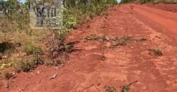 Fazenda c/ vocação Agricultura e Pecuária 401 mil hectares | Palmas – TO Fazenda c/ vocação Agricultura e Pecuária 401 mil hectares | Palmas – TO