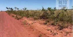 Fazenda c/ vocação Agricultura e Pecuária 401 mil hectares | Palmas – TO Fazenda c/ vocação Agricultura e Pecuária 401 mil hectares | Palmas – TO