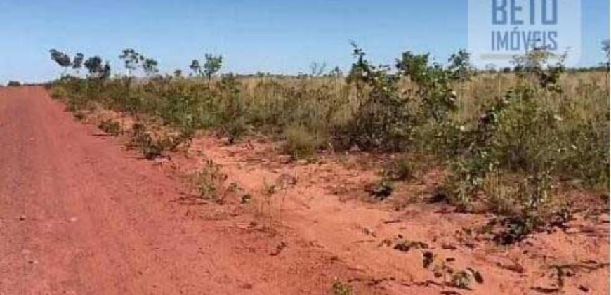 Fazenda c/ vocação Agricultura e Pecuária 401 mil hectares | Palmas – TO Fazenda c/ vocação Agricultura e Pecuária 401 mil hectares | Palmas – TO