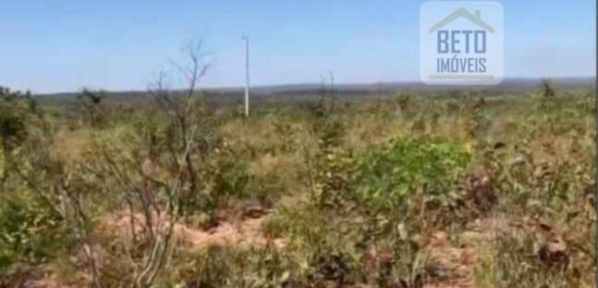 Fazenda c/ vocação Agricultura e Pecuária 401 mil hectares | Palmas – TO Fazenda c/ vocação Agricultura e Pecuária 401 mil hectares | Palmas – TO