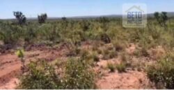 Fazenda c/ vocação Agricultura e Pecuária 401 mil hectares | Palmas – TO Fazenda c/ vocação Agricultura e Pecuária 401 mil hectares | Palmas – TO