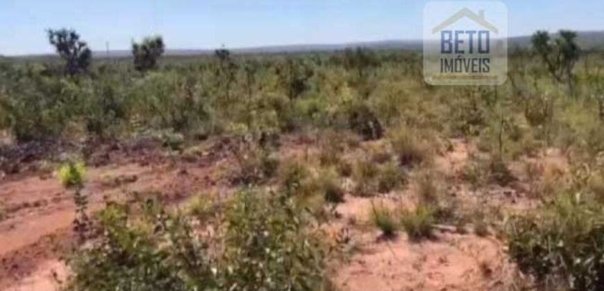 Fazenda c/ vocação Agricultura e Pecuária 401 mil hectares | Palmas – TO Fazenda c/ vocação Agricultura e Pecuária 401 mil hectares | Palmas – TO