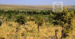 Fazenda c/ vocação Agricultura e Pecuária 401 mil hectares | Palmas – TO Fazenda c/ vocação Agricultura e Pecuária 401 mil hectares | Palmas – TO