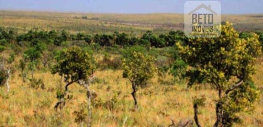 Fazenda c/ vocação Agricultura e Pecuária 401 mil hectares | Palmas – TO Fazenda c/ vocação Agricultura e Pecuária 401 mil hectares | Palmas – TO