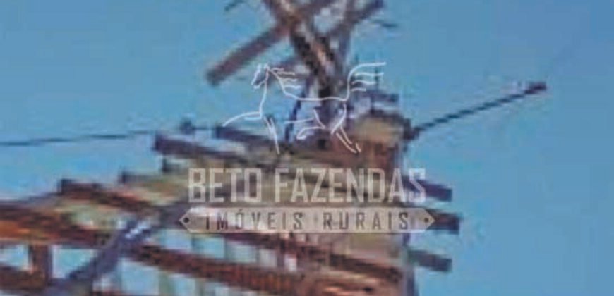 Excelente Fazenda em atividade dupla aptidão gado e lavoura | São Miguel do Araguaia/ GO