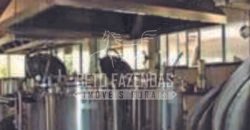 Excelente Fazenda em atividade dupla aptidão gado e lavoura | São Miguel do Araguaia/ GO