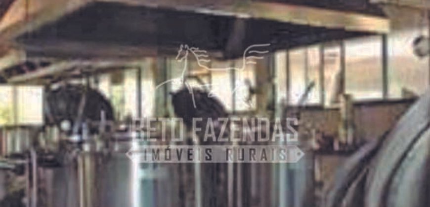 Excelente Fazenda em atividade dupla aptidão gado e lavoura | São Miguel do Araguaia/ GO