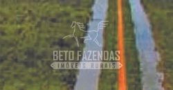 Excelente Fazenda em atividade dupla aptidão gado e lavoura | São Miguel do Araguaia/ GO