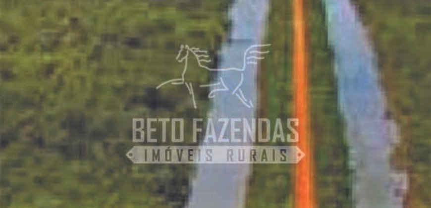 Excelente Fazenda em atividade dupla aptidão gado e lavoura | São Miguel do Araguaia/ GO