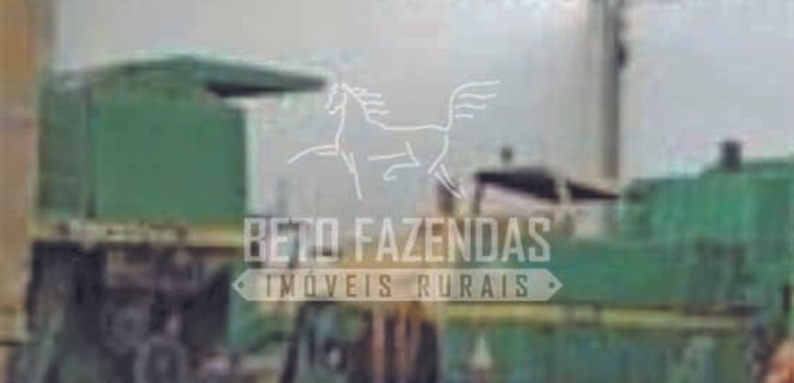 Excelente Fazenda em atividade dupla aptidão gado e lavoura | São Miguel do Araguaia/ GO