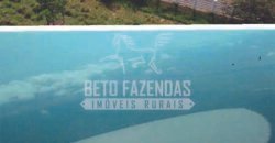 Excelente Fazenda em atividade dupla aptidão gado e lavoura | São Miguel do Araguaia/ GO