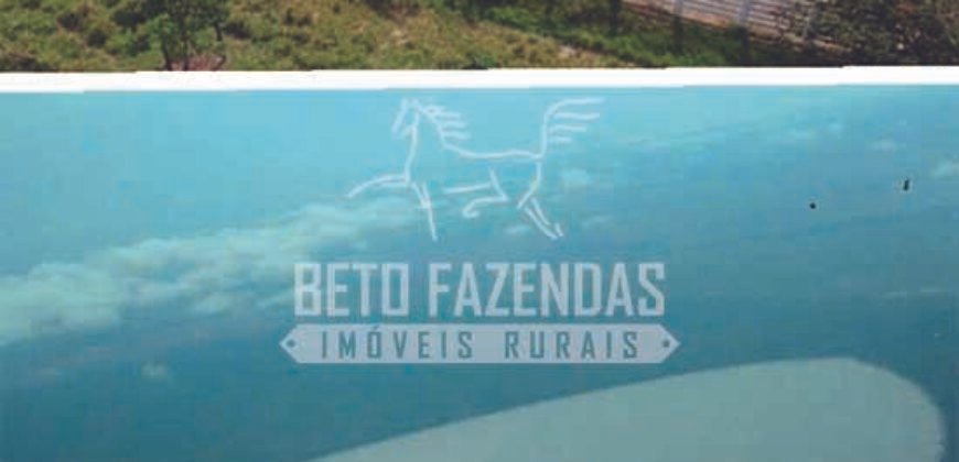 Excelente Fazenda em atividade dupla aptidão gado e lavoura | São Miguel do Araguaia/ GO