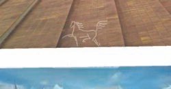 Excelente Fazenda em atividade dupla aptidão gado e lavoura | São Miguel do Araguaia/ GO