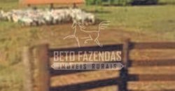 Excelente Fazenda em atividade dupla aptidão gado e lavoura | São Miguel do Araguaia/ GO