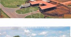 Excelente Fazenda em atividade dupla aptidão gado e lavoura | São Miguel do Araguaia/ GO