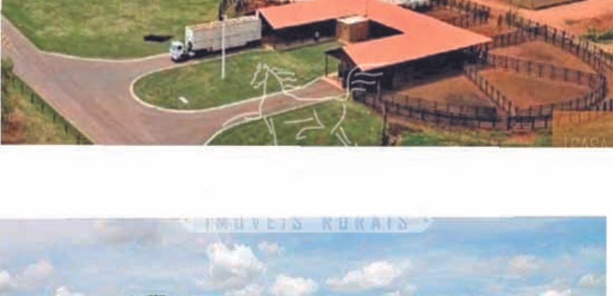 Excelente Fazenda em atividade dupla aptidão gado e lavoura | São Miguel do Araguaia/ GO