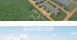 Excelente Fazenda em atividade dupla aptidão gado e lavoura | São Miguel do Araguaia/ GO