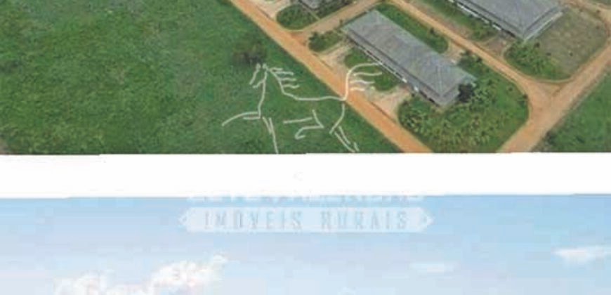 Excelente Fazenda em atividade dupla aptidão gado e lavoura | São Miguel do Araguaia/ GO