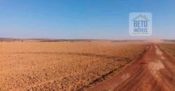 Fazenda Excelente Logística 17.000 hectares Lavoura Soja e Algodão | Água Boa – MT Fazenda Excelente Logística 17.000 hectares Lavoura Soja e Algodão | Água Boa – MT