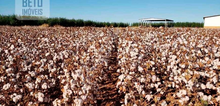 Fazenda Excelente Logística 17.000 hectares Lavoura Soja e Algodão | Água Boa – MT Fazenda Excelente Logística 17.000 hectares Lavoura Soja e Algodão | Água Boa – MT