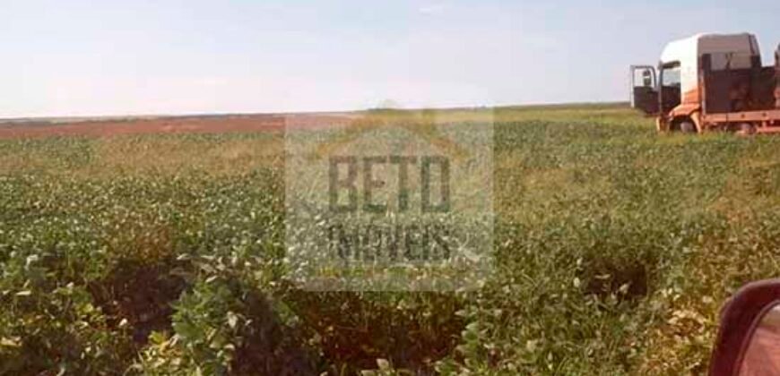 Fazenda Excelente Logística 17.000 hectares Lavoura Soja e Algodão | Água Boa – MT Fazenda Excelente Logística 17.000 hectares Lavoura Soja e Algodão | Água Boa – MT
