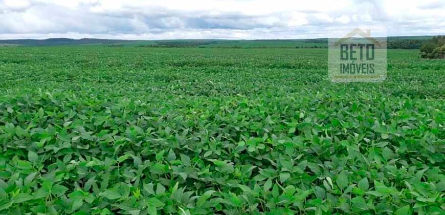 Fazenda Excelente Logística 17.000 hectares Lavoura Soja e Algodão | Água Boa – MT Fazenda Excelente Logística 17.000 hectares Lavoura Soja e Algodão | Água Boa – MT