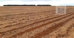 Fazenda Excelente Logística 17.000 hectares Lavoura Soja e Algodão | Água Boa – MT Fazenda Excelente Logística 17.000 hectares Lavoura Soja e Algodão | Água Boa – MT