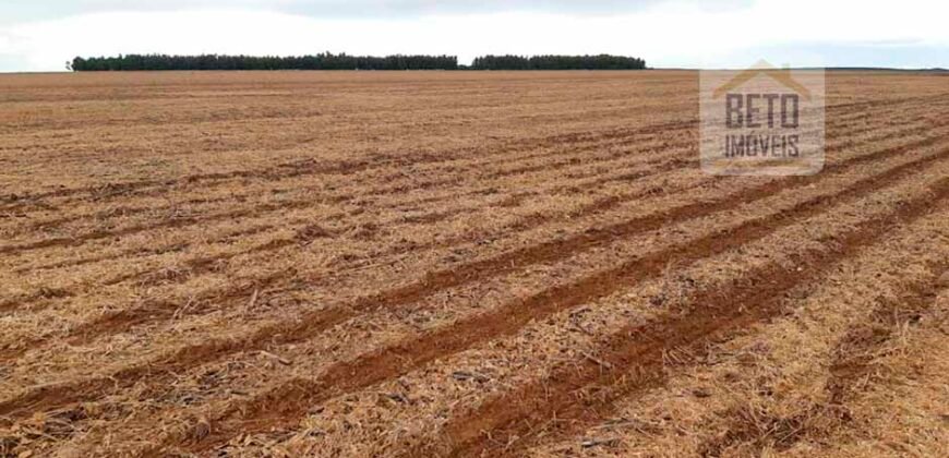 Fazenda Excelente Logística 17.000 hectares Lavoura Soja e Algodão | Água Boa – MT Fazenda Excelente Logística 17.000 hectares Lavoura Soja e Algodão | Água Boa – MT