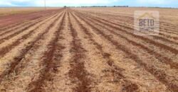 Fazenda Excelente Logística 17.000 hectares Lavoura Soja e Algodão | Água Boa – MT Fazenda Excelente Logística 17.000 hectares Lavoura Soja e Algodão | Água Boa – MT