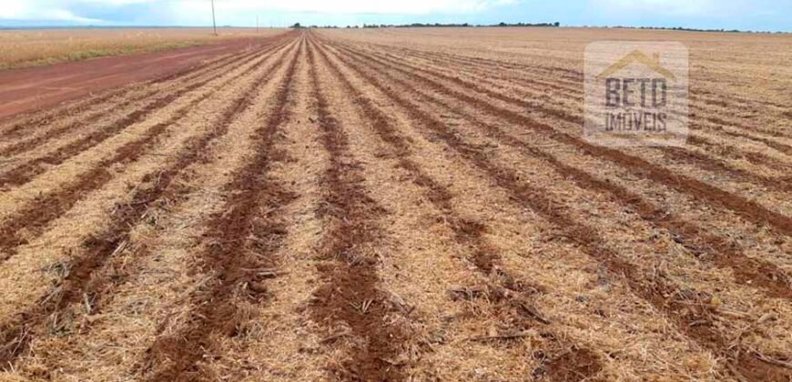 Fazenda Excelente Logística 17.000 hectares Lavoura Soja e Algodão | Água Boa – MT Fazenda Excelente Logística 17.000 hectares Lavoura Soja e Algodão | Água Boa – MT