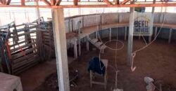 Fazenda Excelente Logística 17.000 hectares Lavoura Soja e Algodão | Água Boa – MT Fazenda Excelente Logística 17.000 hectares Lavoura Soja e Algodão | Água Boa – MT