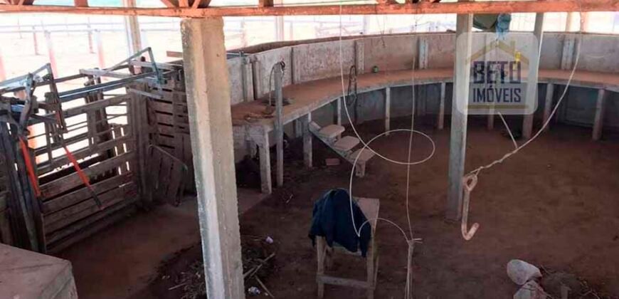 Fazenda Excelente Logística 17.000 hectares Lavoura Soja e Algodão | Água Boa – MT Fazenda Excelente Logística 17.000 hectares Lavoura Soja e Algodão | Água Boa – MT