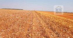 Fazenda Excelente Logística 17.000 hectares Lavoura Soja e Algodão | Água Boa – MT Fazenda Excelente Logística 17.000 hectares Lavoura Soja e Algodão | Água Boa – MT