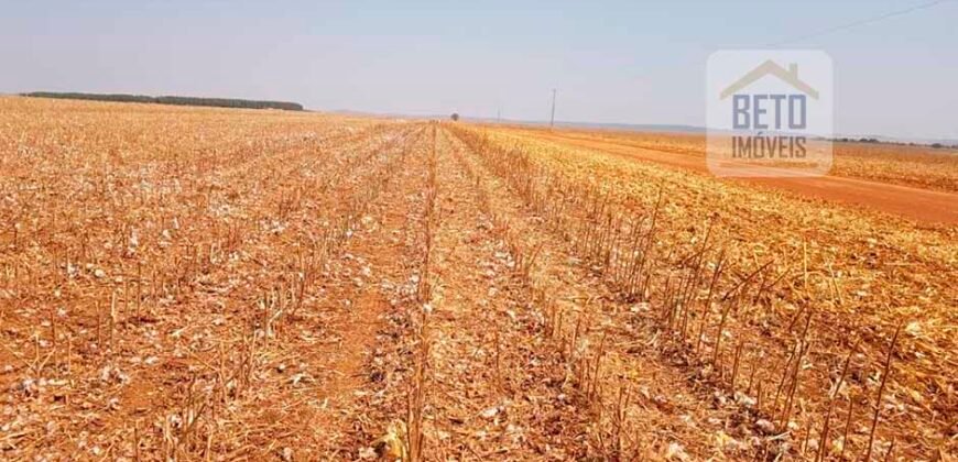 Fazenda Excelente Logística 17.000 hectares Lavoura Soja e Algodão | Água Boa – MT Fazenda Excelente Logística 17.000 hectares Lavoura Soja e Algodão | Água Boa – MT