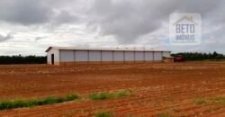 Fazenda Excelente Logística 17.000 hectares Lavoura Soja e Algodão | Água Boa – MT Fazenda Excelente Logística 17.000 hectares Lavoura Soja e Algodão | Água Boa – MT