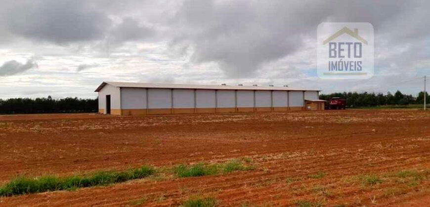 Fazenda Excelente Logística 17.000 hectares Lavoura Soja e Algodão | Água Boa – MT Fazenda Excelente Logística 17.000 hectares Lavoura Soja e Algodão | Água Boa – MT