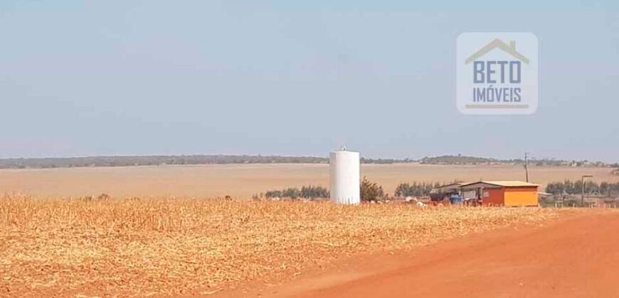 Fazenda Excelente Logística 17.000 hectares Lavoura Soja e Algodão | Água Boa – MT Fazenda Excelente Logística 17.000 hectares Lavoura Soja e Algodão | Água Boa – MT