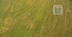 Fazenda Excelente Logística 17.000 hectares Lavoura Soja e Algodão | Água Boa – MT Fazenda Excelente Logística 17.000 hectares Lavoura Soja e Algodão | Água Boa – MT