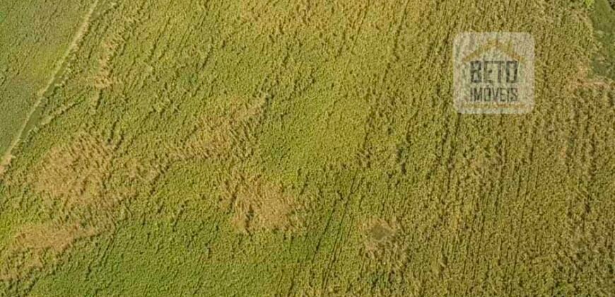 Fazenda Excelente Logística 17.000 hectares Lavoura Soja e Algodão | Água Boa – MT Fazenda Excelente Logística 17.000 hectares Lavoura Soja e Algodão | Água Boa – MT