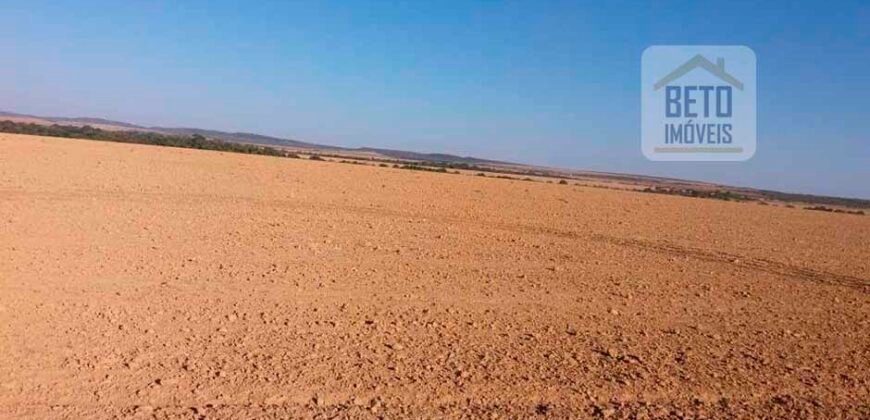 Fazenda Excelente Logística 17.000 hectares Lavoura Soja e Algodão | Água Boa – MT Fazenda Excelente Logística 17.000 hectares Lavoura Soja e Algodão | Água Boa – MT