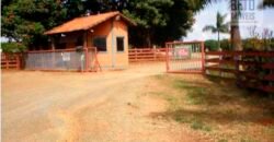 Fazenda de Café Toda Montada 1.460 hectares | Piumhi – MG