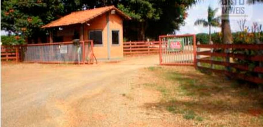 Fazenda de Café Toda Montada 1.460 hectares | Piumhi – MG