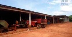 Fazenda de Café Toda Montada 1.460 hectares | Piumhi – MG