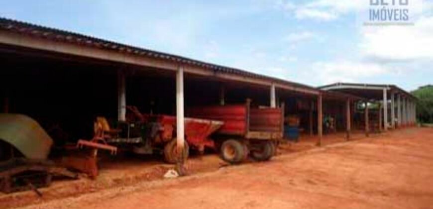 Fazenda de Café Toda Montada 1.460 hectares | Piumhi – MG