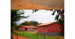 Fazenda de Café Toda Montada 1.460 hectares | Piumhi – MG