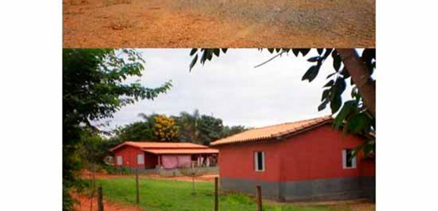 Fazenda de Café Toda Montada 1.460 hectares | Piumhi – MG